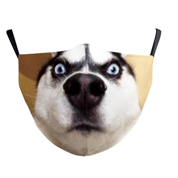 Misc Items