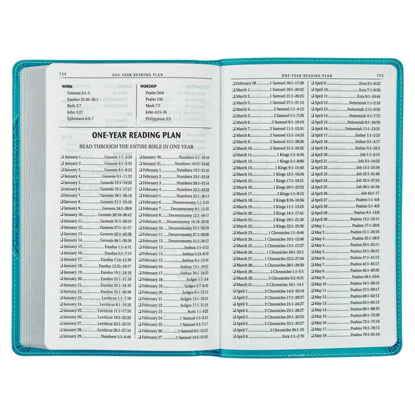 KJV Bible Gift Edition Faux Leather, Teal Butterfly