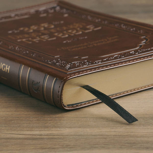 365 Days Through the Bible; A Devotional Journey