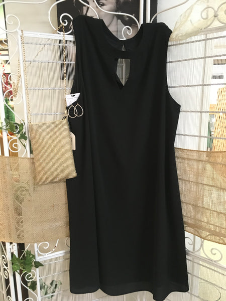 Black sleeveless dress Plus