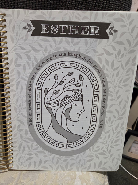 KJV Pink My Creative Bible Faux Leather