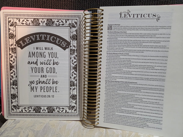 KJV Pink My Creative Bible Faux Leather