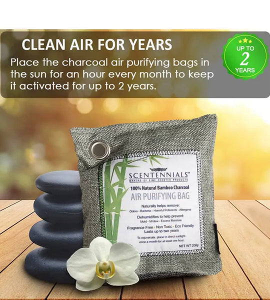 Bamboo Charcoal Air Purifying packet